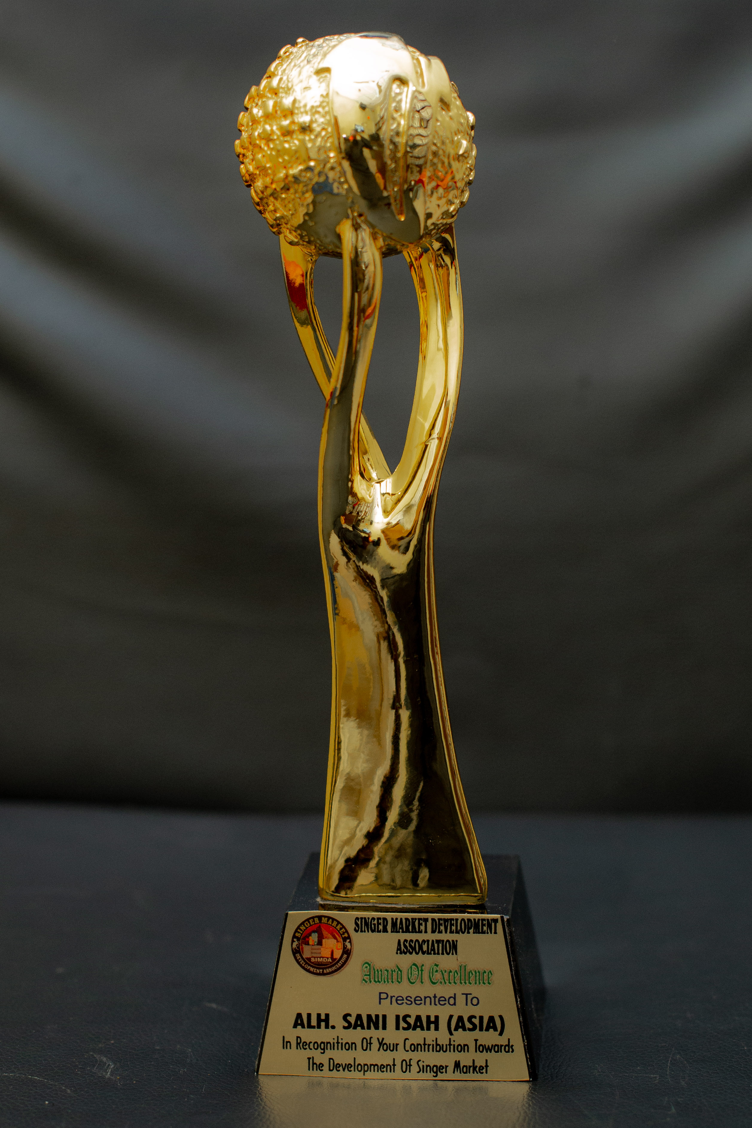 Award of Excellence